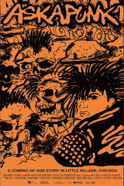 Poster for Ask A Punk