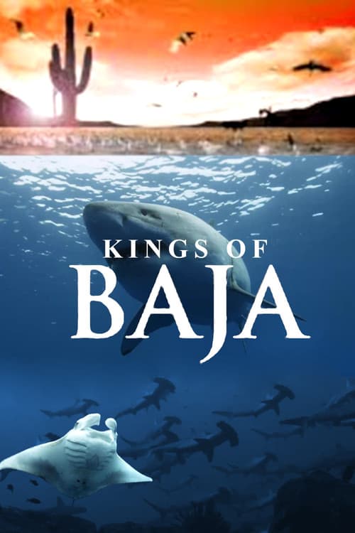 Poster for Kings of Baja