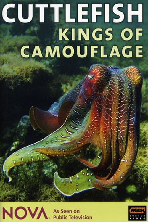 Poster for Cuttlefish: Kings of Camouflage
