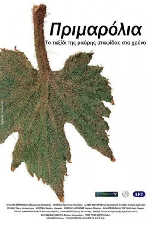 Poster for Primarolia