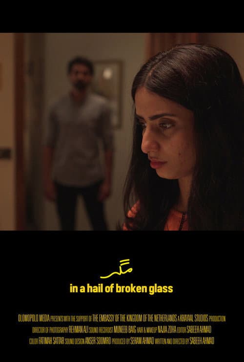 Poster for In a Hail of Broken Glass
