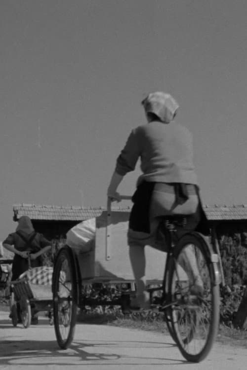 Poster for Laundresses from Bizovik