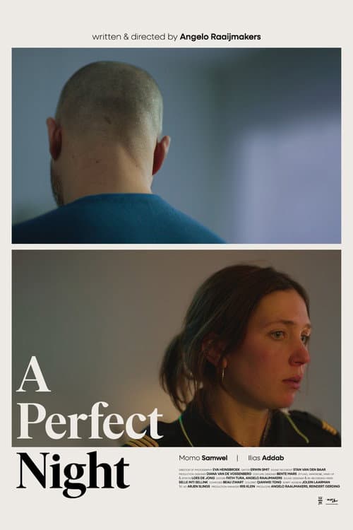 Poster for A Perfect Night