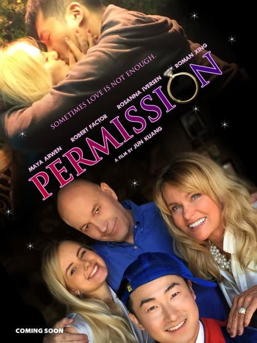 Poster for Permission