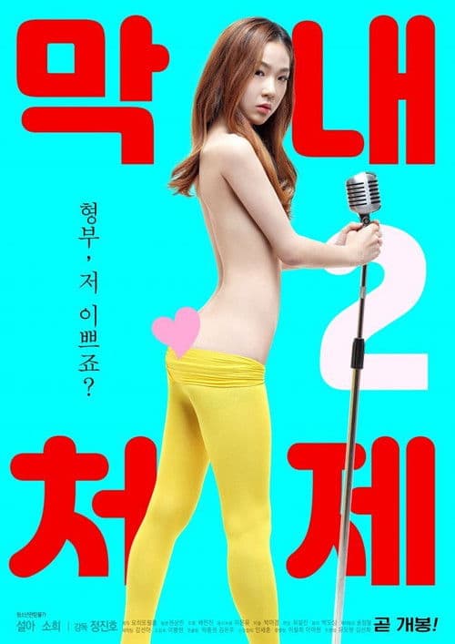 Poster for The Youngest Sister-in-law 2