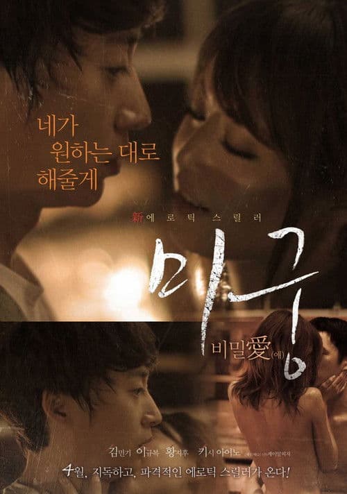 Poster for Maze: Secret Love
