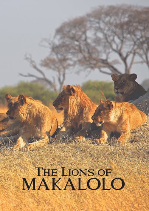 Poster for The Lions of Makalolo