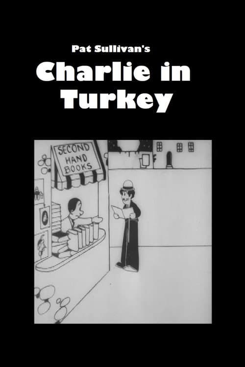 Poster for Charlie in Turkey