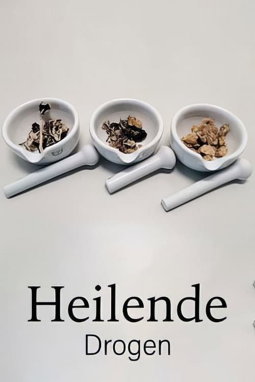Poster for Drugs that Heal: Could Psychedelics Treat Depression?