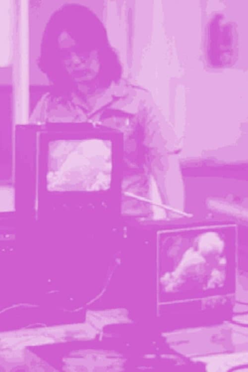 Poster for Not For Sale: Feminism and Art in the USA during the 1970s