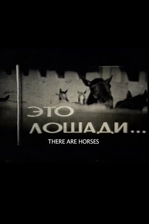 Poster for There Are Horses