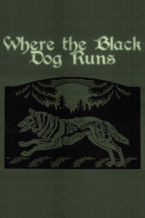 Poster for Where the Black Dog Runs