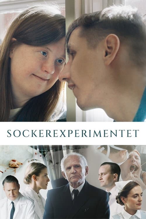 Poster for The Sugar Experiment