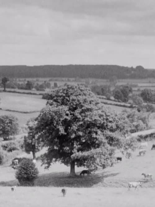 Poster for The Chiltern Country