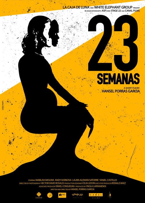 Poster for 23 Semanas