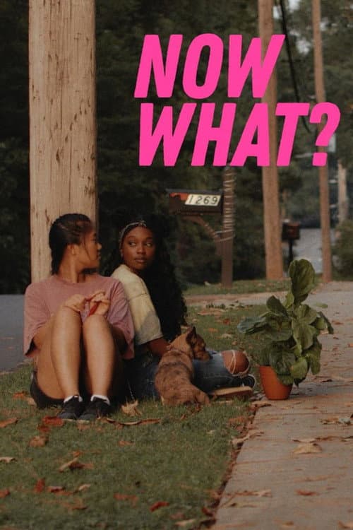 Постер до фільму «Now What»