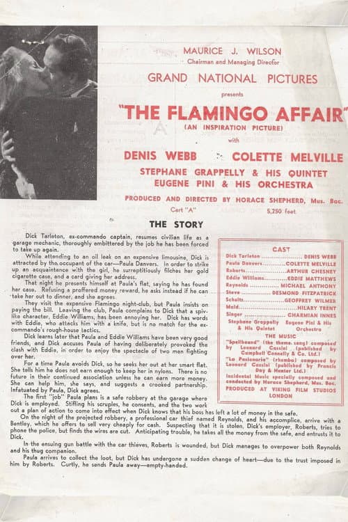 Poster for The Flamingo Affair