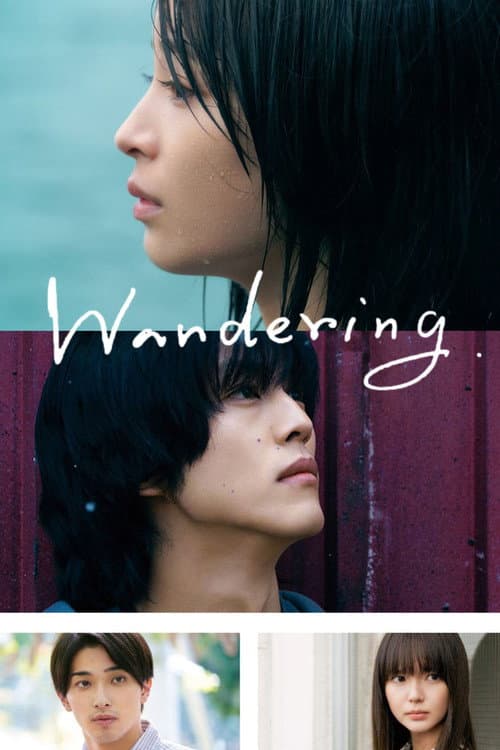 Poster for The Wandering Moon