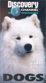 Poster for The Ultimate Guide - Dogs