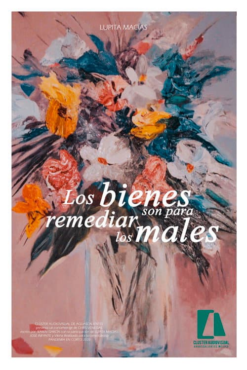Poster for Goods are to remedy ills