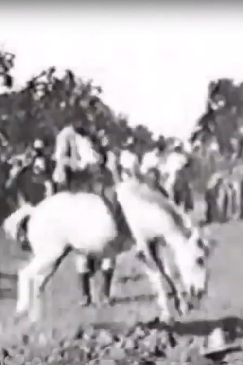 Poster for Cavalier sur un cheval rétif
