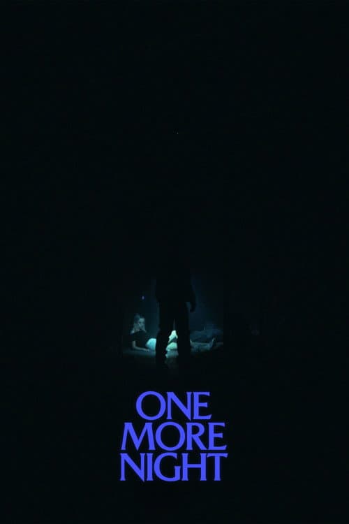 Poster for Endnu en nat