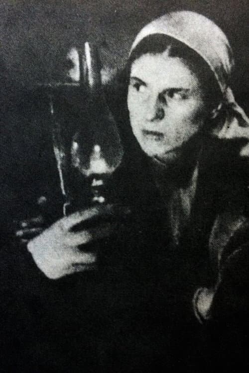 Poster for The Border