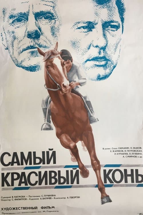 Постер до фільму «Найкрасивіший кінь»