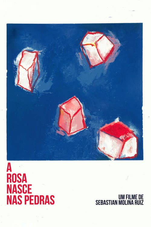 Poster for A Rosa Nasce Nas Pedras