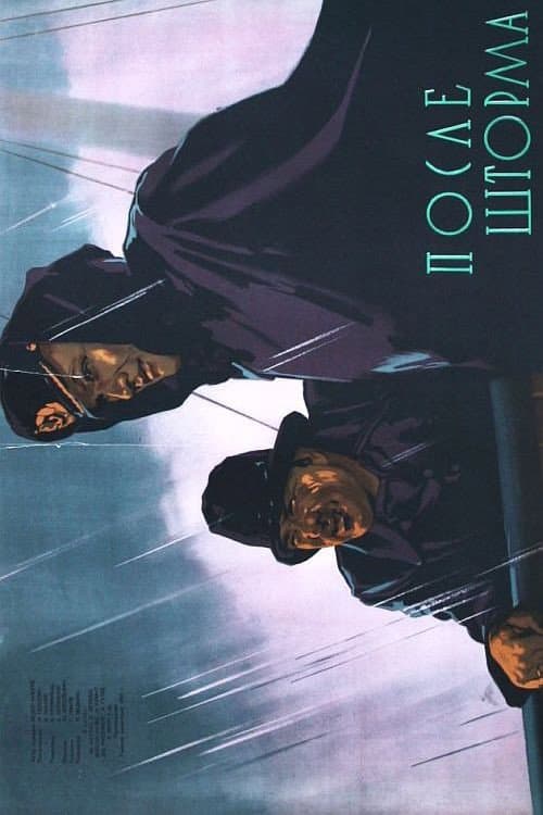 Poster for After The Storm