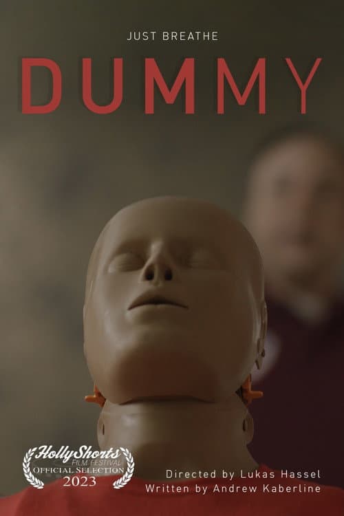Poster for Dummy
