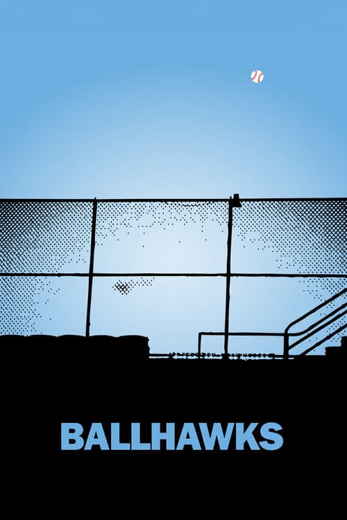 Poster for Ballhawks