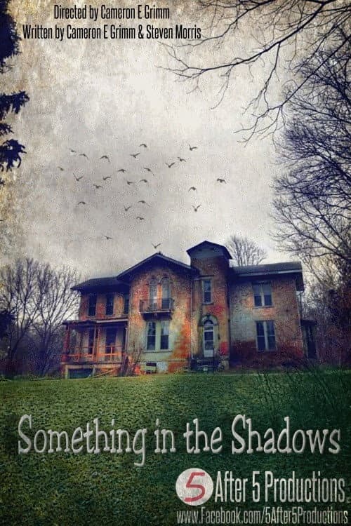 Poster for Something in the Shadows
