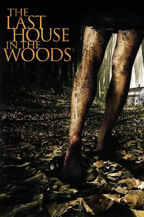 Poster for The Last House in the Woods