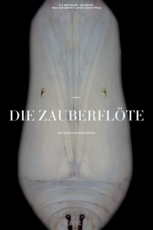 Poster for Mozart: Die Zauberflöte