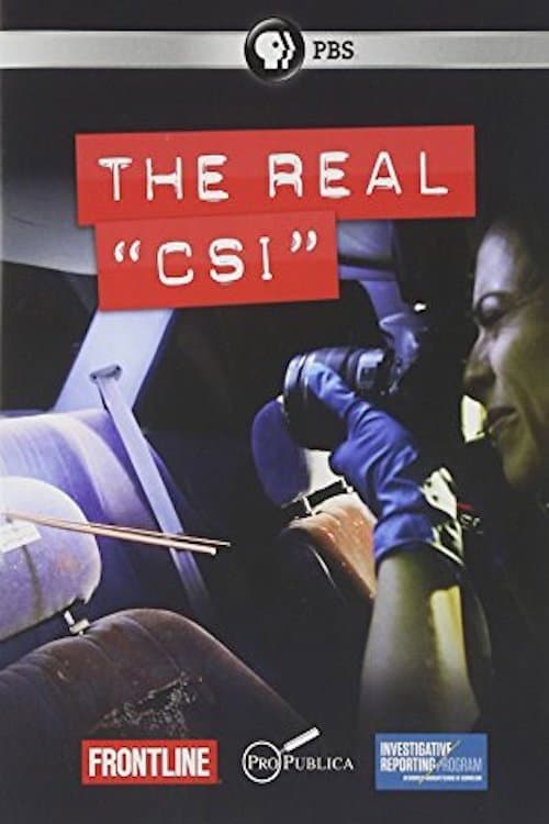 Poster for The Real CSI