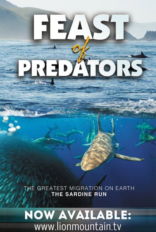 Poster for Feast of Predators