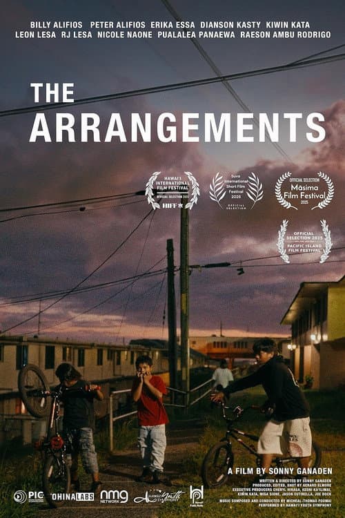 Poster for The Arrangements