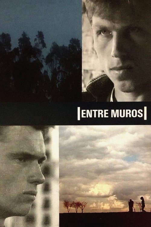 Poster for In Between Walls