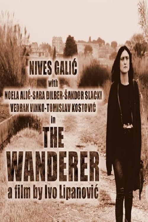 Poster for The Wanderer