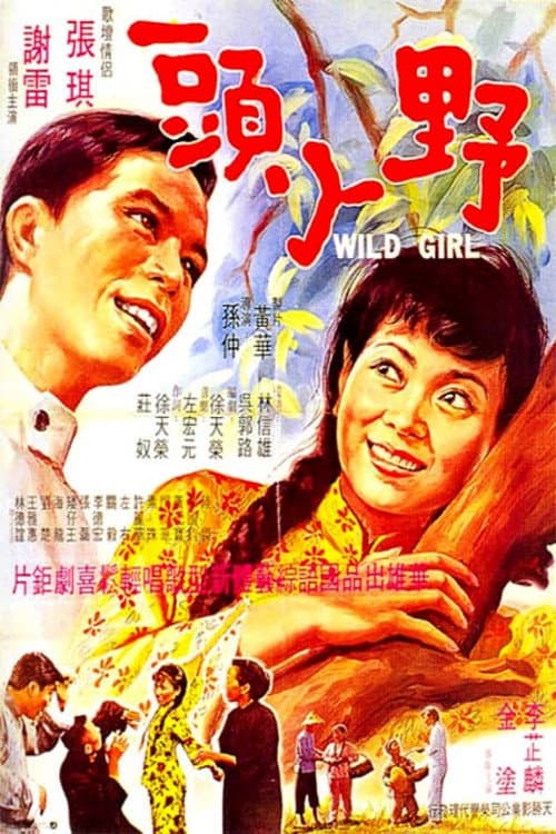 Poster for Wild Girl
