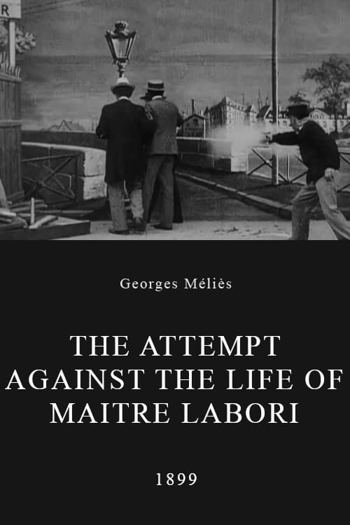 Постер до фільму «The Attempt Against the Life of Maitre Labori»