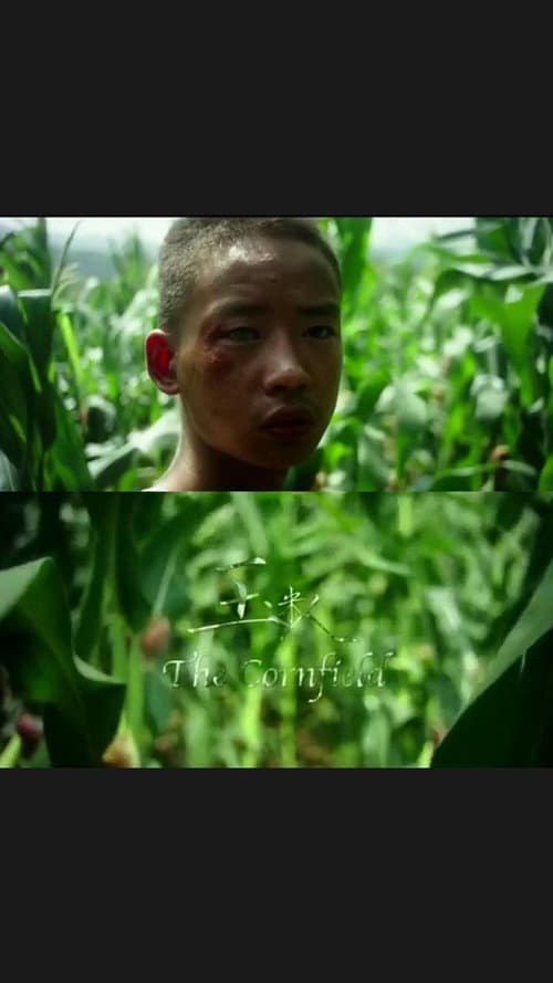 Poster for The Cornfield