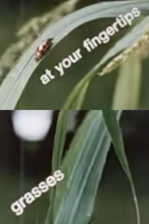 Poster for At Your Fingertips: Grasses