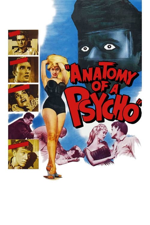 Poster for Anatomy of a Psycho