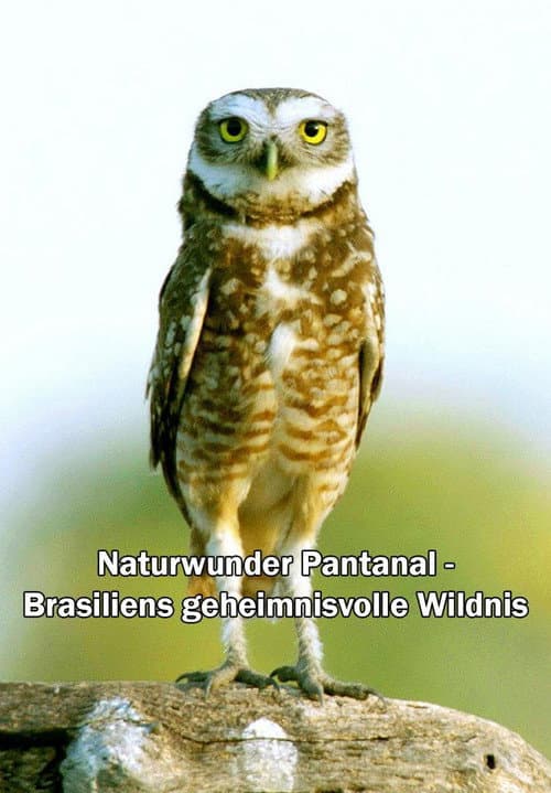 Poster for Naturwunder Pantanal - Brasiliens geheimnisvolle Wildnis