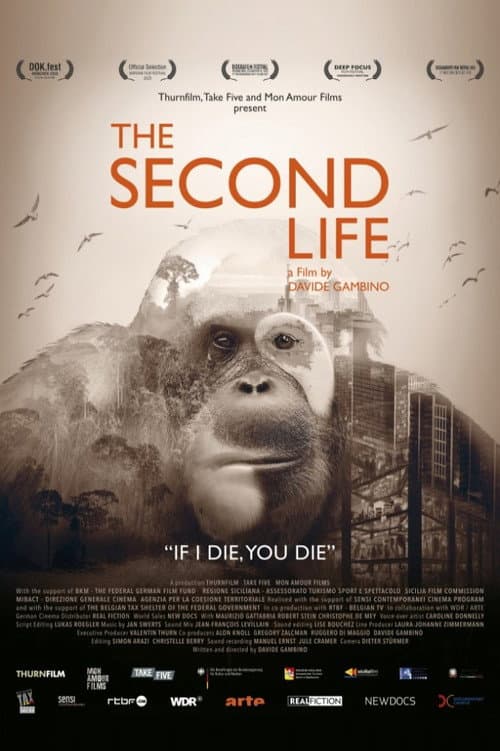 Poster for The Second Life