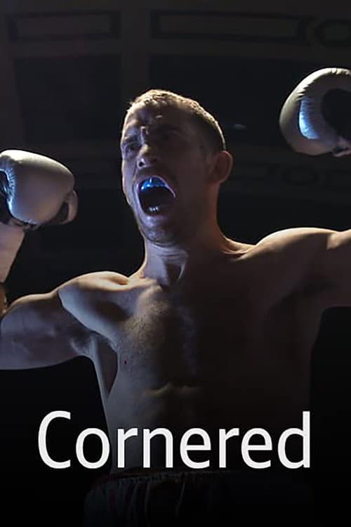 Poster for Cornered