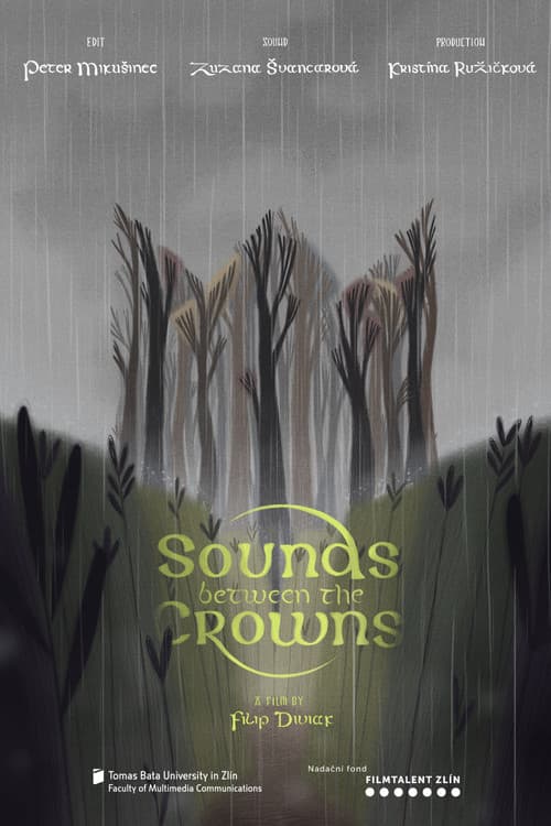 Постер до фільму «Sounds Between the Crowns»