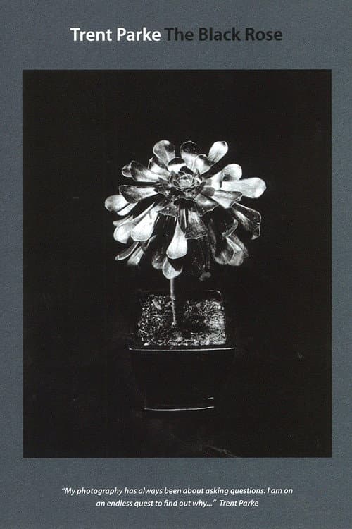 Poster for Trent Parke: The Black Rose